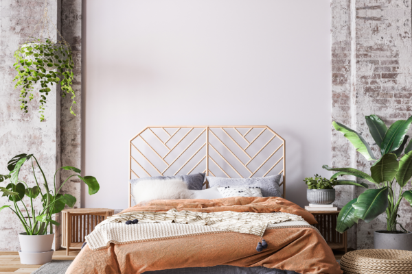 ANTICA CALCE - Authentic Lime Paint - Image 3